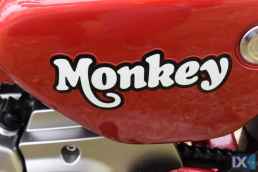 Φωτογραφία 71/77 - Honda Αλλο monkey 125 bobo,monkey z,125,Εδεσμεύθη!! '19