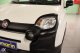 Fiat Panda Mild Hybrid City Cross Elysia '20 - 12.650 EUR